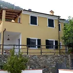 Palmero *