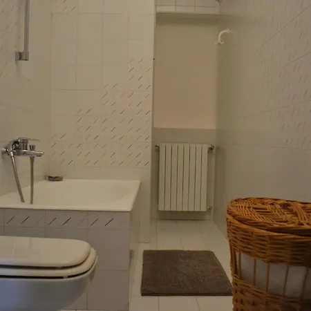 Palmero * אלסיו