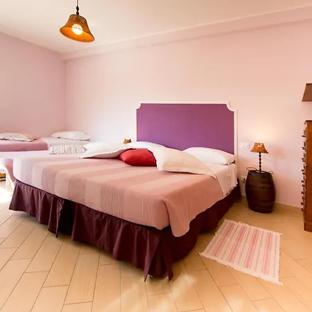 בית חווה Palmero