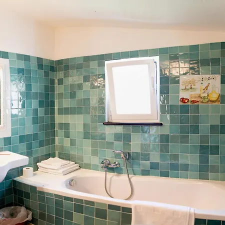 Palmero * אלסיו