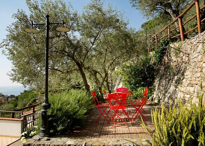 Palmero * アラッシオ